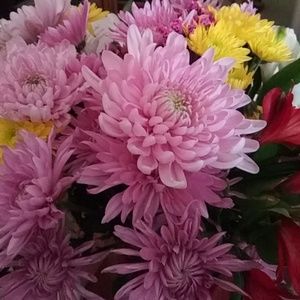 Meet your Posher, Catherine